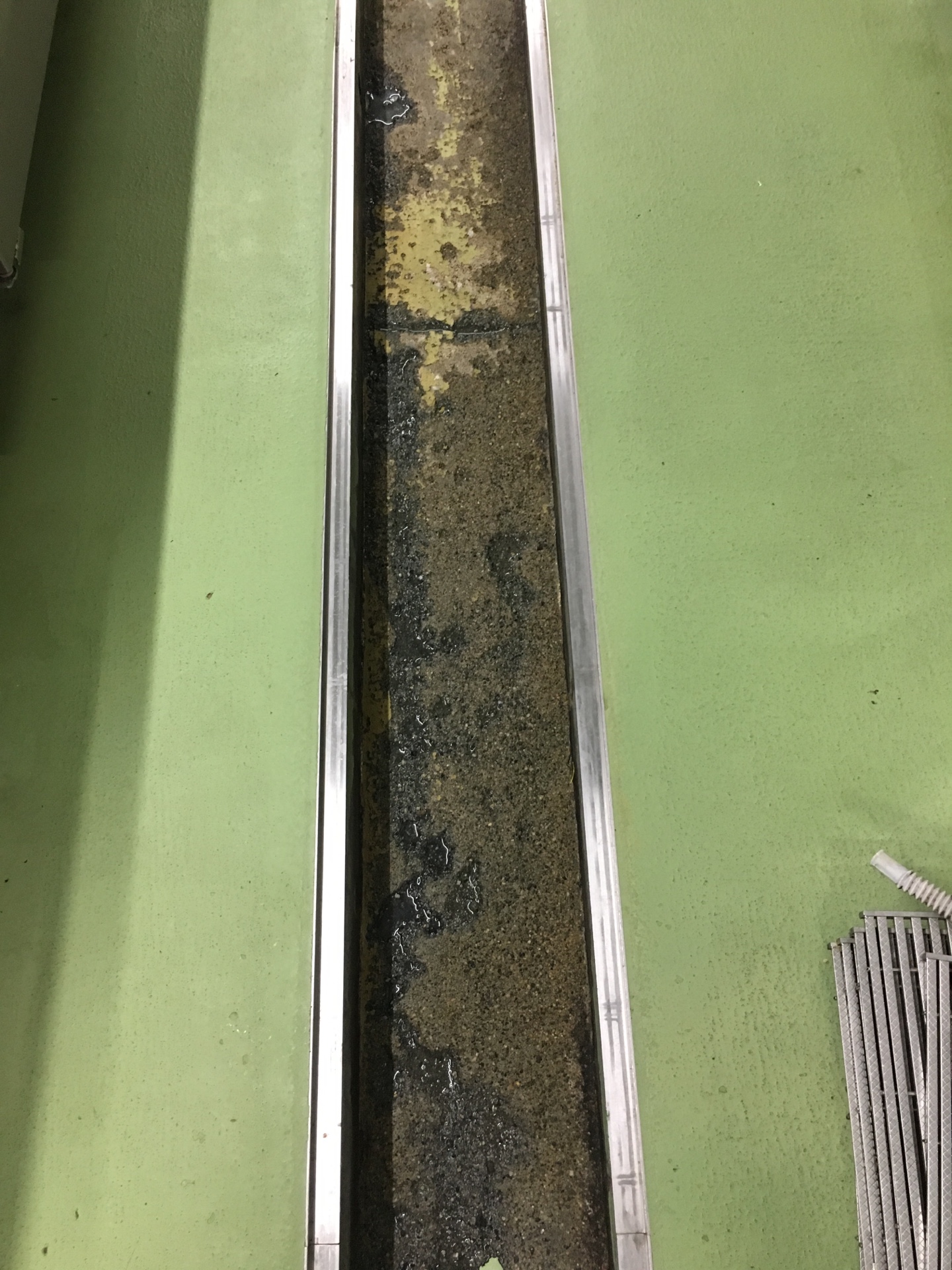 排水溝　防カビ塗装